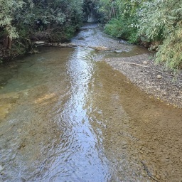 galería (1)