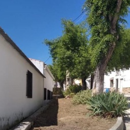 galería (5)